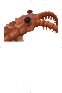Anomalocaris image from Dave the Diver Wiki