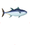 Bluefin Tuna image from Dave the Diver Wiki