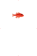 Cardinal Fish image from Dave the Diver Wiki