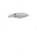 Cuttlefish image from Dave the Diver Wiki