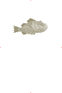 Devil Scorpionfish image from Dave the Diver Wiki
