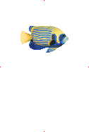 Emperor Angelfish image from Dave the Diver Wiki