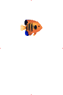 Flame Angelfish image from Dave the Diver Wiki