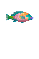 Many Eyed Mackerel image from Dave the Diver Wiki