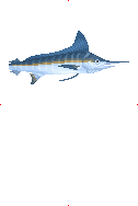 Marlin image from Dave the Diver Wiki