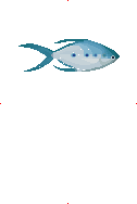 Small Spotted Dart image from Dave the Diver Wiki