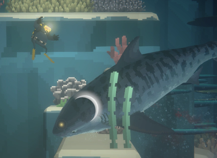 Smooth Hammerhead image from Dave the Diver Wiki