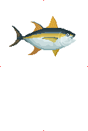 Yellowfin Tuna image from Dave the Diver Wiki