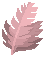 Feather Coral image from Dave the Diver Wiki
