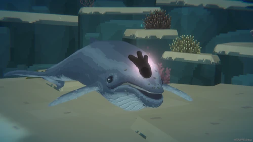 Finding the Baby Whale的图片