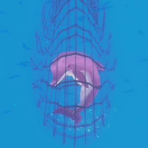 What Happened to the Dolphins?的图片