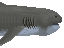 Megamouth Shark Sushi image