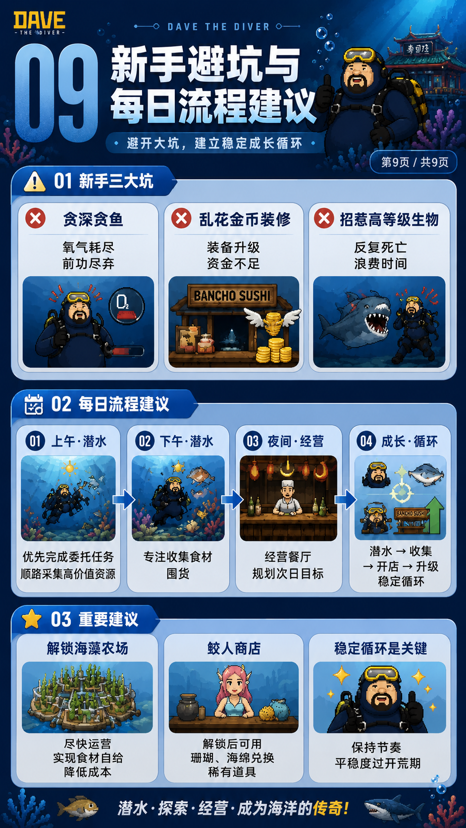 每日流程与新手避坑