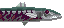 Dredge Savage Barracuda的图片