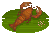 Crab Trap Signal Crayfish的图片