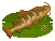 Redtail Catfish的图片