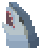 Special Whitetip Reefshark Head的图片