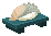 Lump Fish的图片